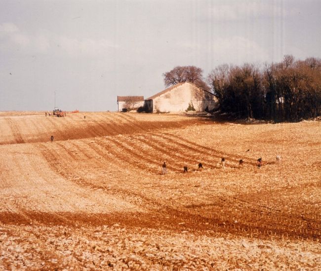 Château de Haute-Serre